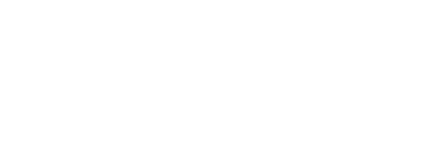 NYU short logo with torch.